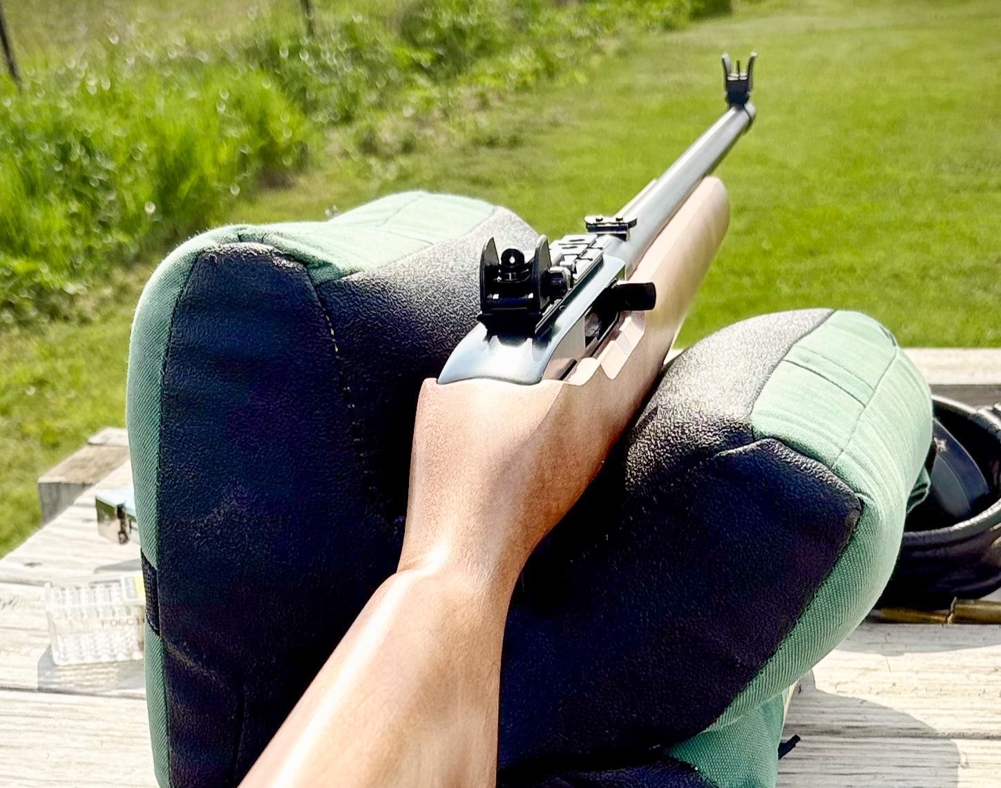 A Tale of Two 10/22 Rifles